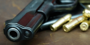 In the US, gun laws direct the sale, possession as well as use of firearms and ammunition. (Photo Credits: Pixabay)