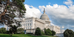 The Role of Lobbyists in Washington: How Special Interests Work