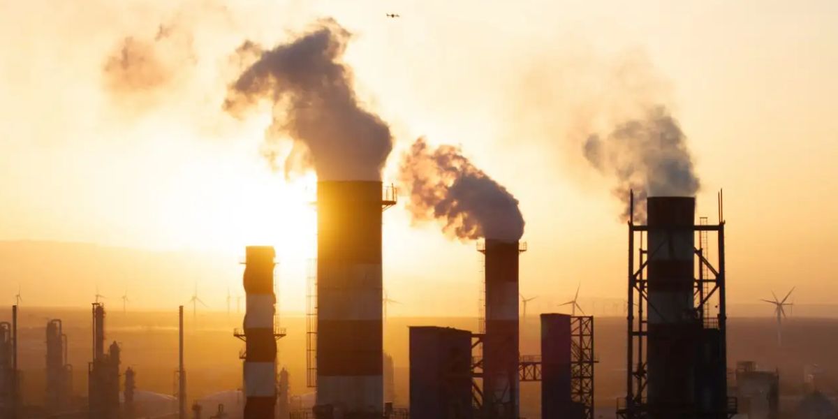 Understanding ‘Carbon Credits’: How Businesses Trade Emissions