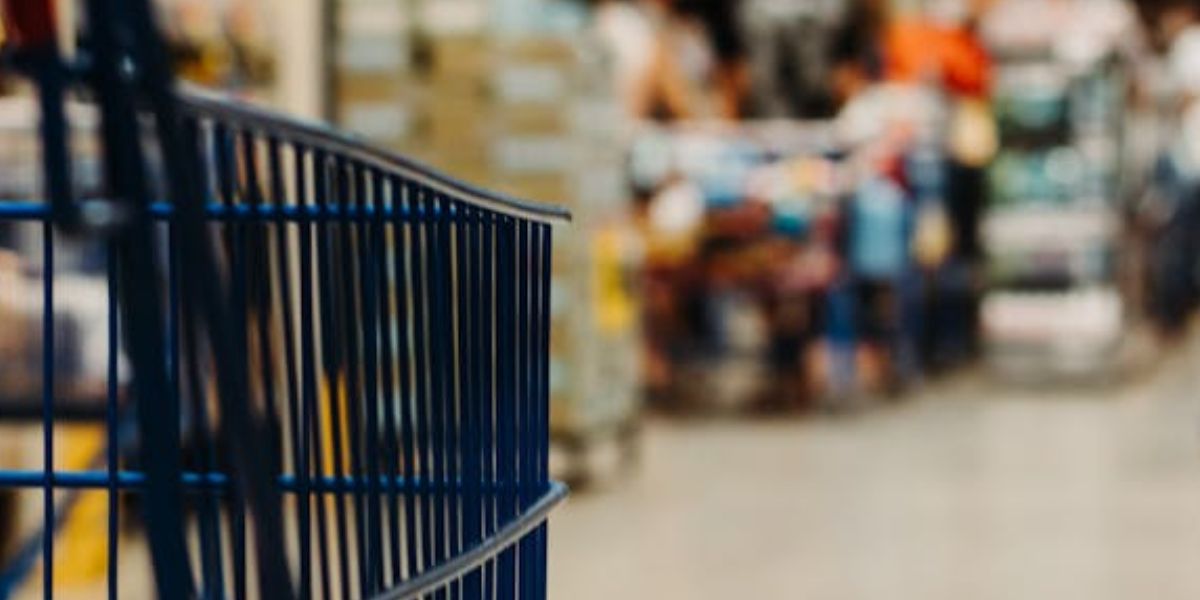 How to Vet Sustainable Brands: Spotting ‘Greenwashing’ In 2026