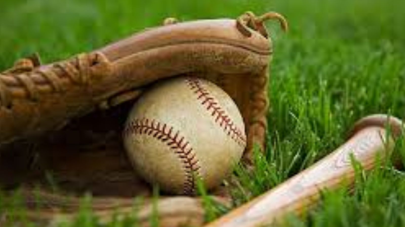 The Physics of a Curveball: Why the Ball Actually Moves